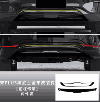 Ốp ngoại thất BYD Sealion 6